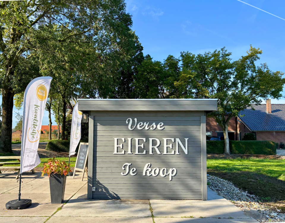 Ontwerp zonder titel-16